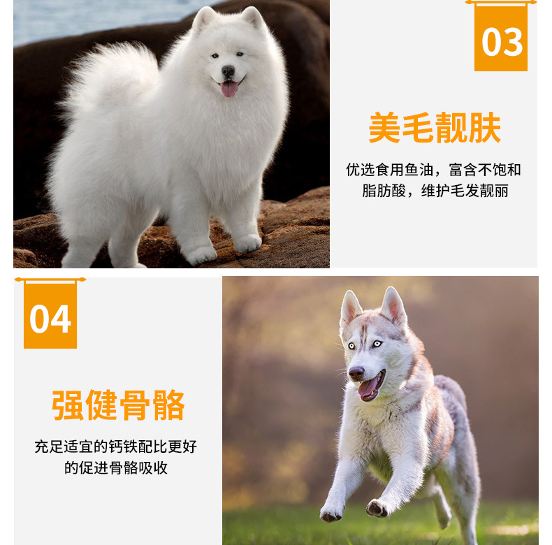 汤河店  狗粮20kg40斤金毛拉布拉多法斗大型中型小型犬成犬幼犬通用型C