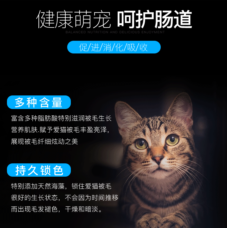 汤河店   猫粮幼猫成猫宠物猫粮5斤通用型全猫期干猫粮C