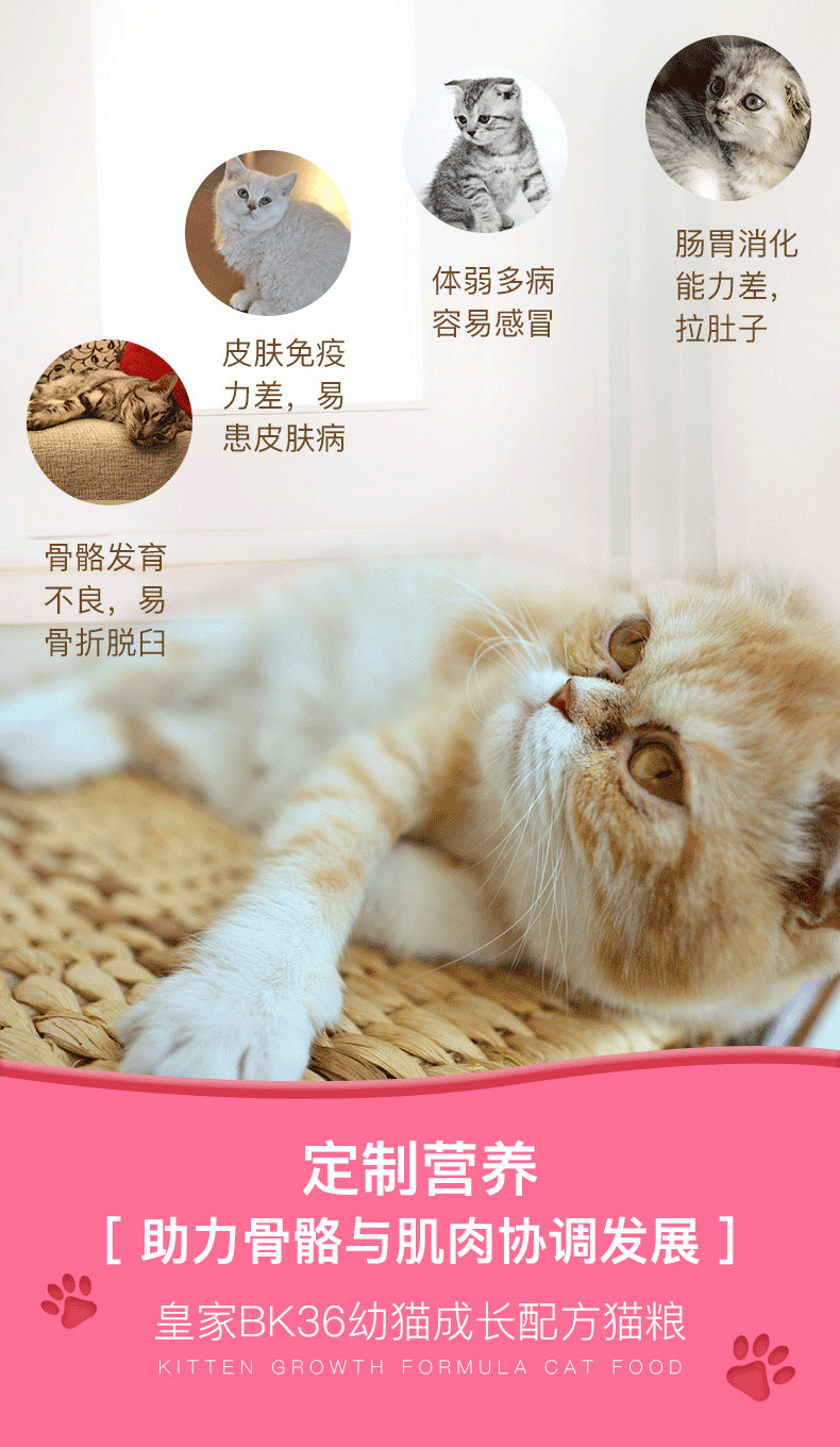 汤河店   皇家猫粮幼猫2kg营养幼猫粮猫小猫怀孕哺乳期母猫粮C