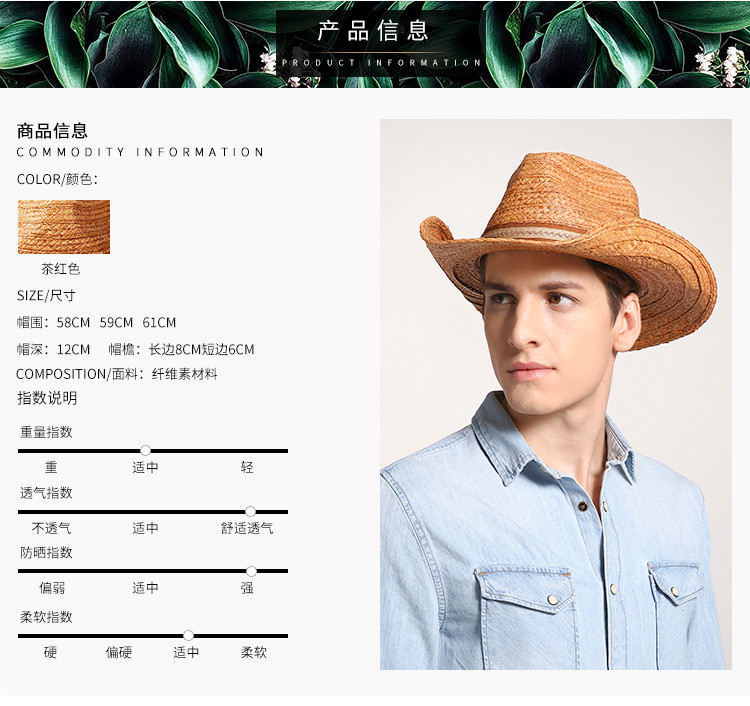 汤河之家 夏天帽子牛仔 帽拉菲草帽爵士礼帽大檐遮阳帽草帽防晒帽子