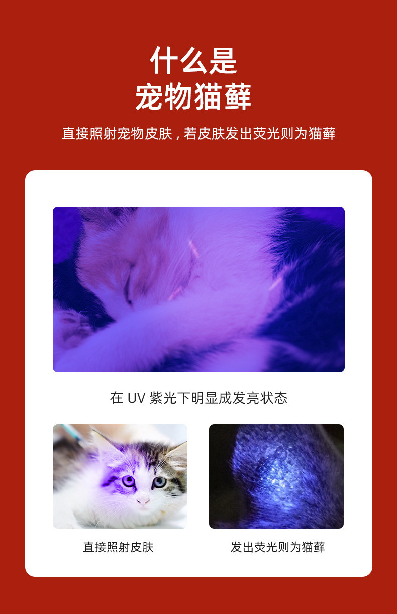 汤河店 强光直充小手电G3户外家用usb荧光剂检测 猫癣灯A