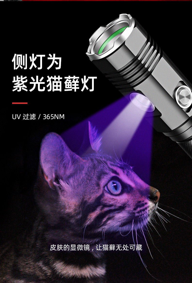 汤河店 强光直充小手电G3户外家用usb荧光剂检测 猫癣灯A