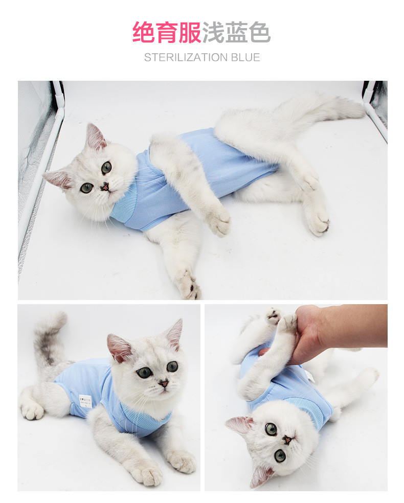 汤河店 猫咪手术服母猫绝育服断奶服术后服防舔夏弹性宠物猫衣服猫术后服