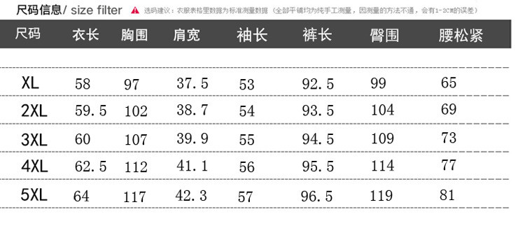 洋湖轩榭 大码女装早秋时尚套装妈妈装长袖针织衫两件套中老年人休闲运动服