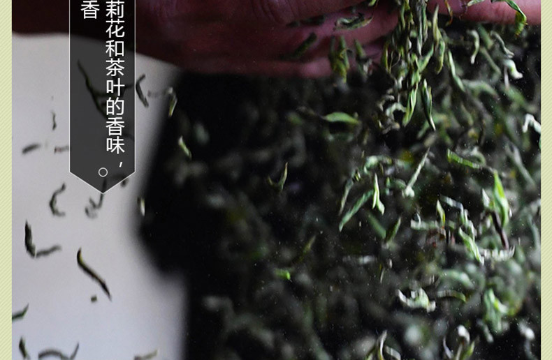 京华 16号茉莉花茶250g 茉莉花茶特级清香型 袋装 老字号