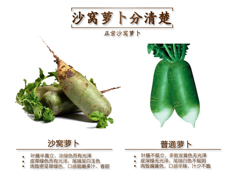 【邮政助农】天津特色-沙窝萝卜2.5kg