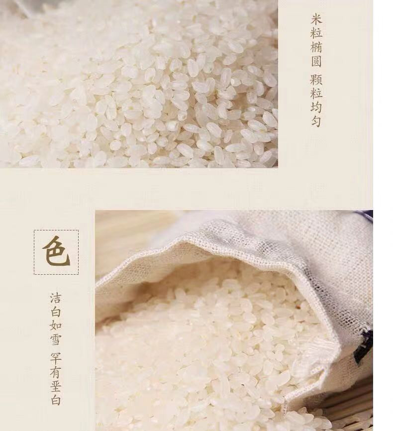 【全国基地项目】天津 津南小站稻 1kg