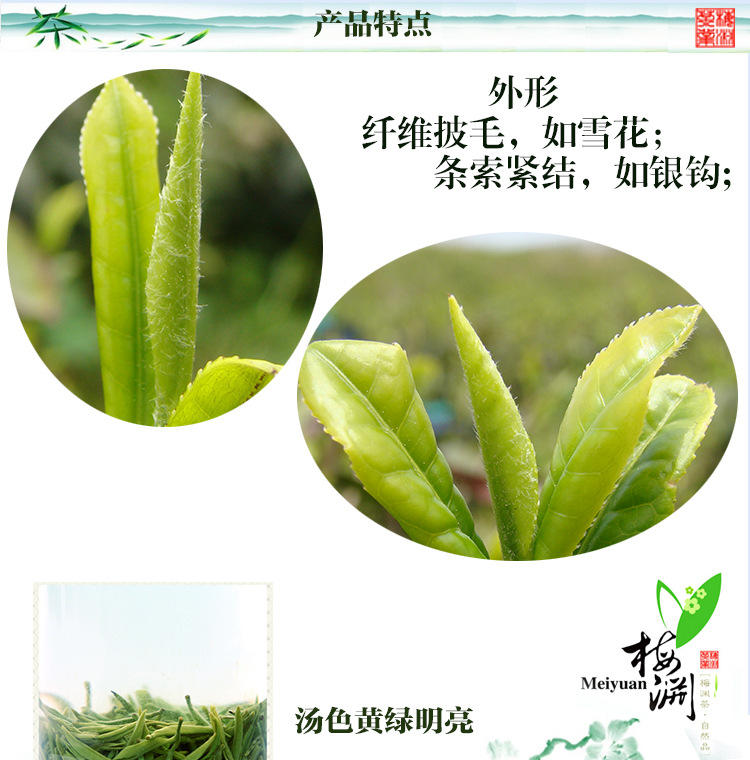 中国十大名茶 新茶上市绿色礼盒300g都匀毛尖绿紧细 卷曲 披毫