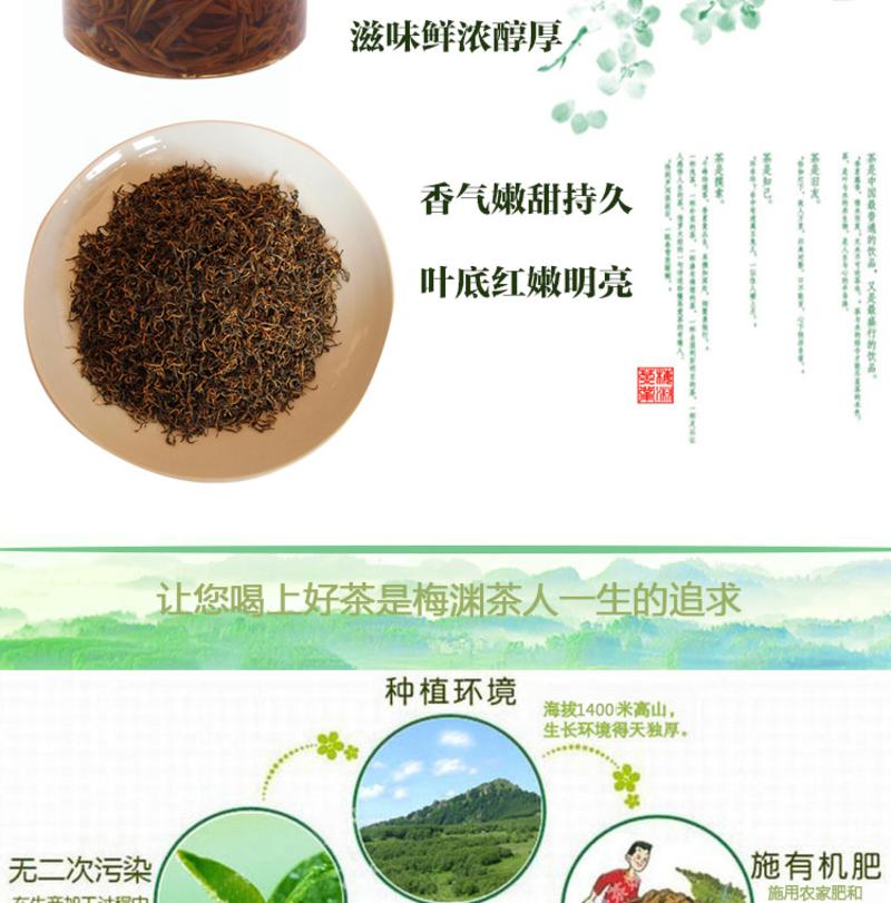 贵州好茶 匀红2015-特级毛尖茶 乌褐油润 叶底红嫩明亮