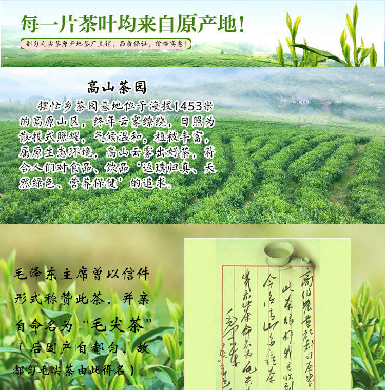 梅渊香绿茶口感香醇都匀毛尖 大自然馈赠健康茶饮 高山有机茶园