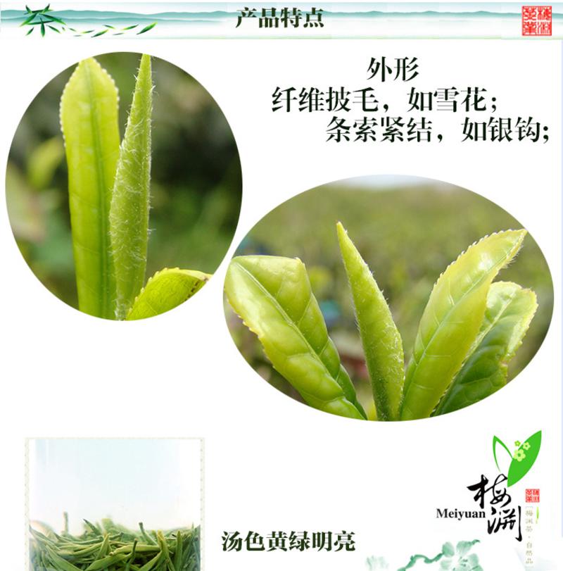 都匀毛尖茶 滋味鲜美气味香浓 特级都匀毛尖茶绿色礼盒100g装