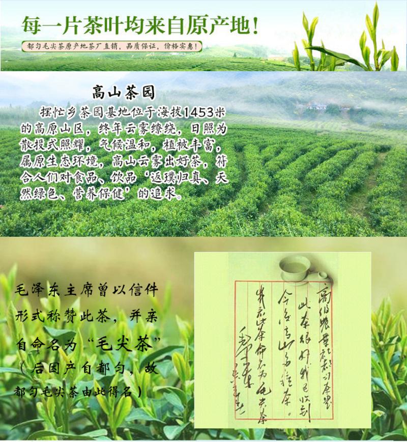 贵州特产一级红茶都匀毛尖高山云雾有机茶叶