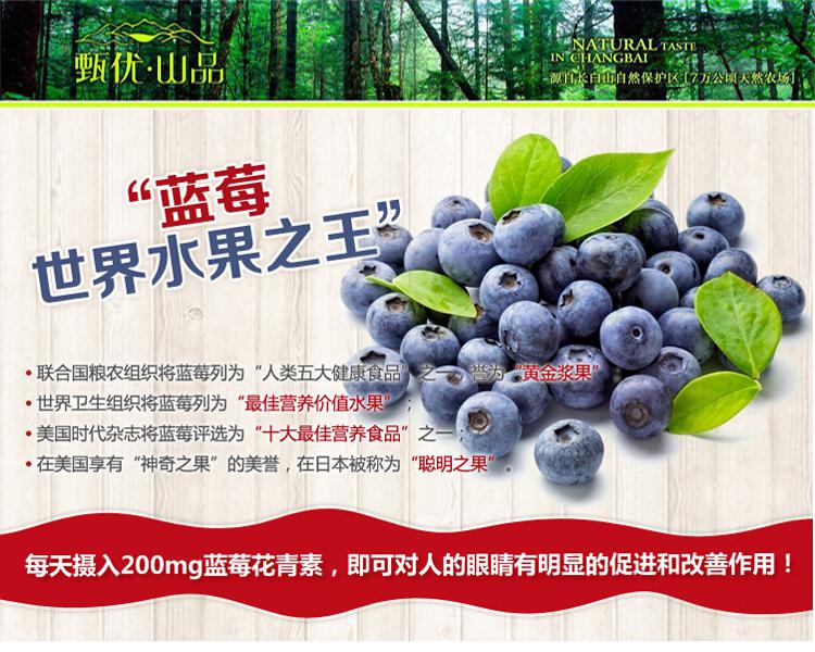 长白山特产 甄优·山品 特产蓝莓果干200g 休闲食品