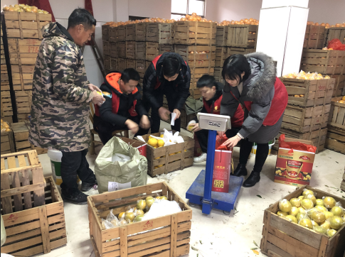 丽水市开潭村甜橘柚（助农项目）