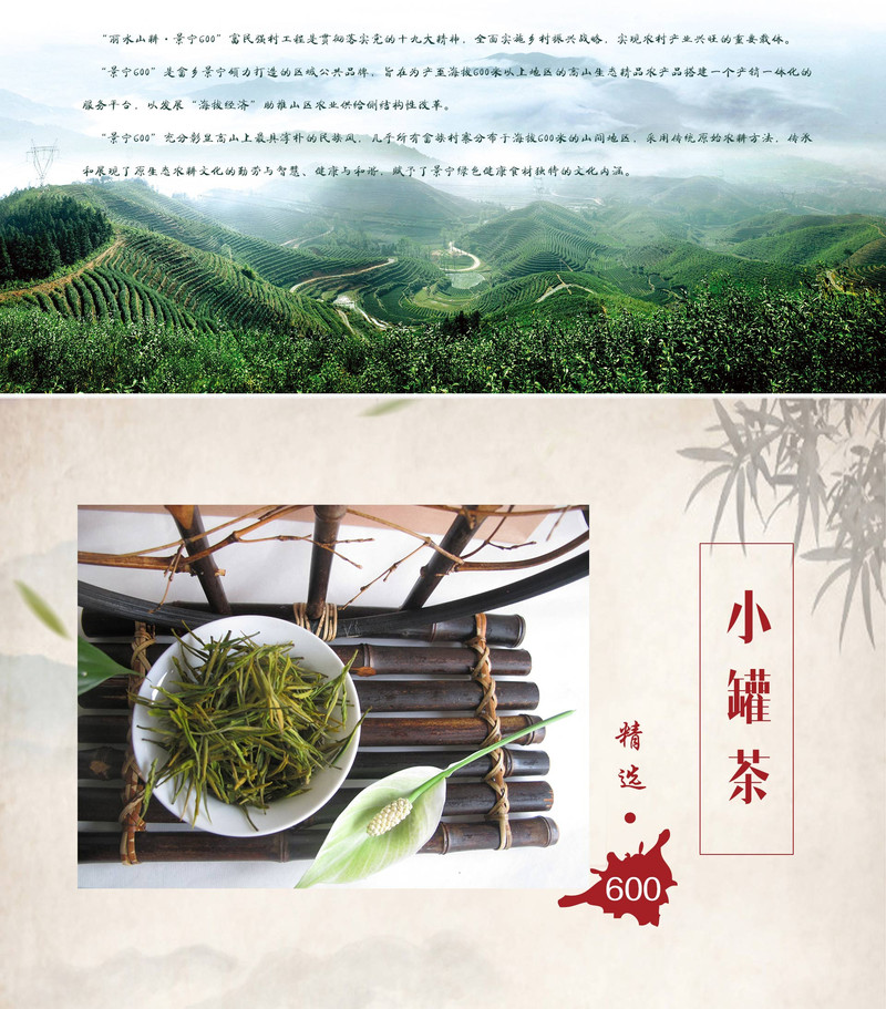 【景宁600农产品】惠明茶叶 小罐茶礼盒 120g