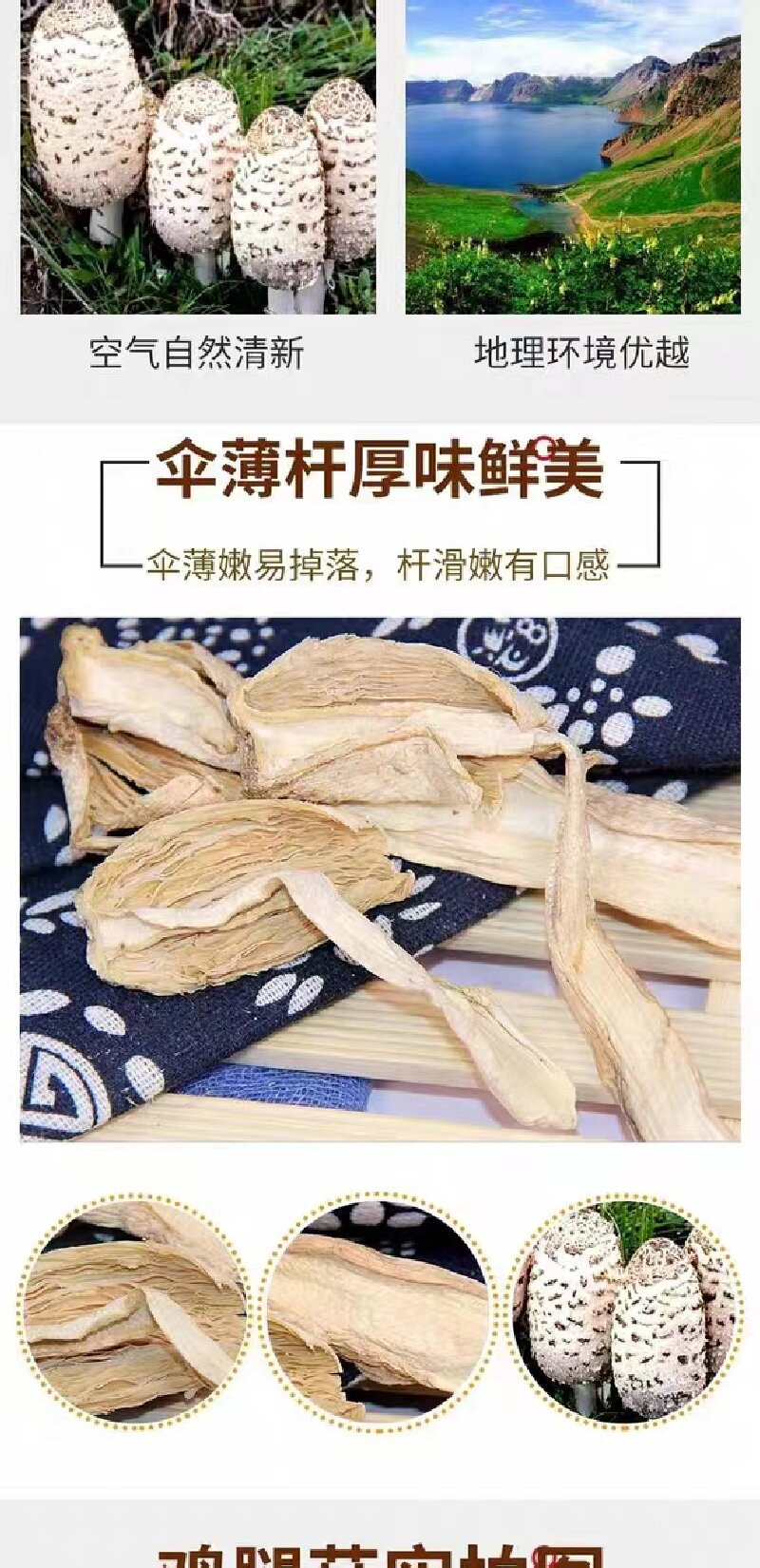 畲森山 【景宁600】高山精品  鸡腿菇250g