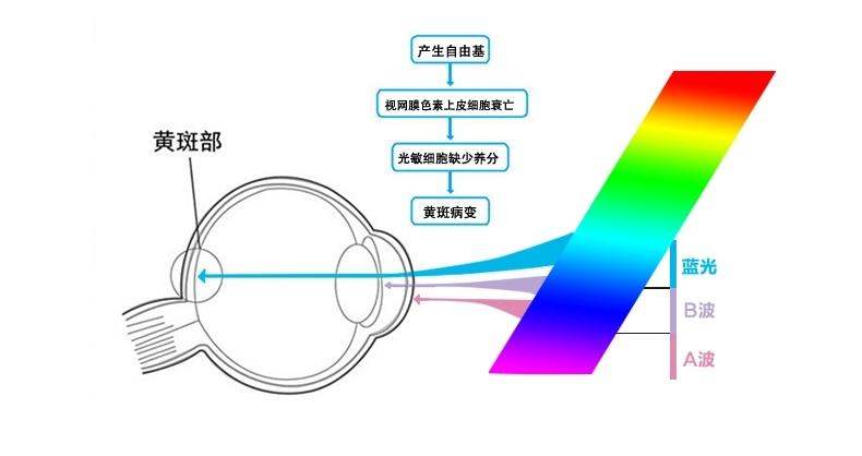 蓝光防眩目镜片什么原理_防蓝光镜片