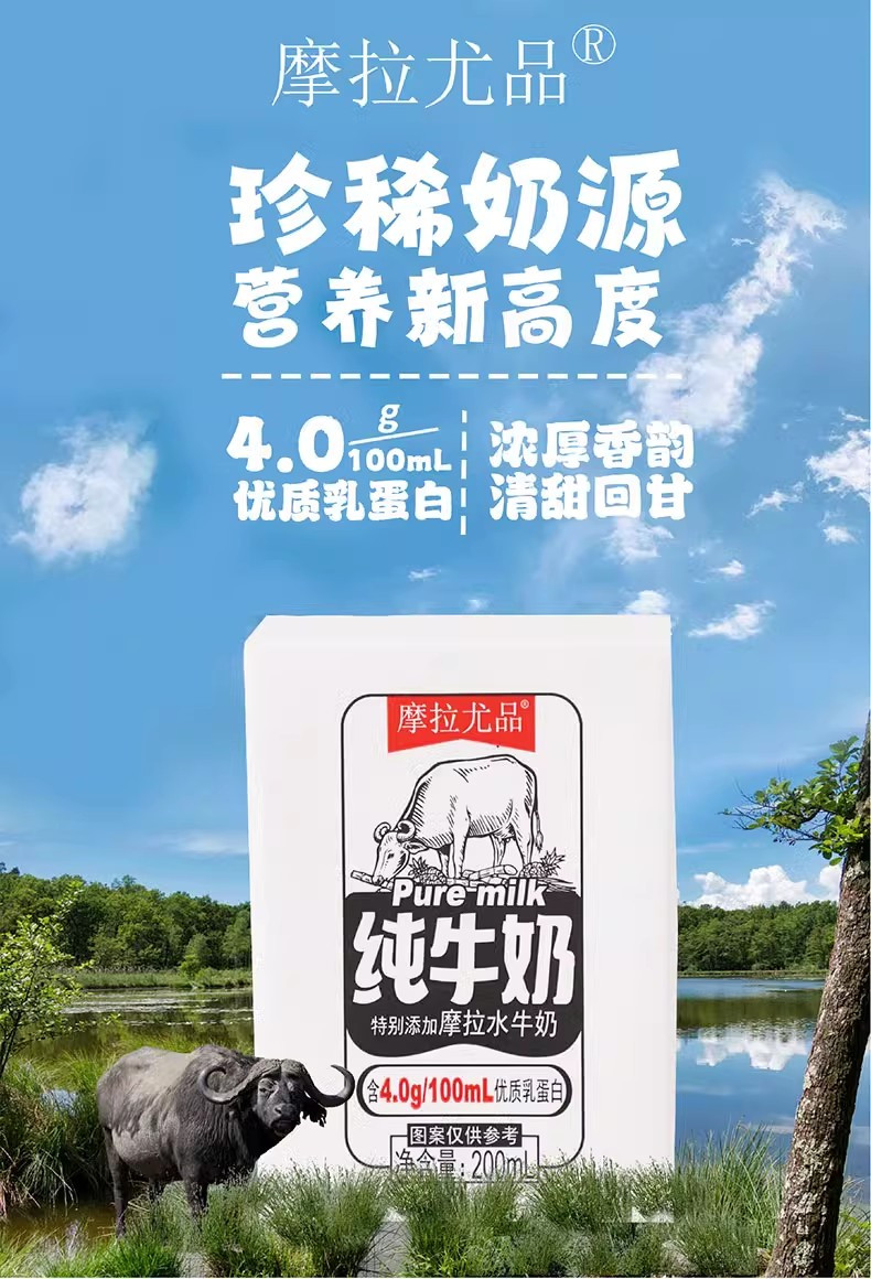 隆福 【苍南特产】摩拉尤品纯牛奶添加摩拉水牛奶