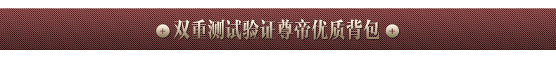 尊帝双肩背包男女生高中小学生3-5年级书包学院风校园14寸电脑包1245