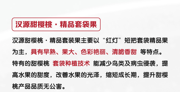 【川邮自营】四川汉源甜樱桃 精品套袋果2斤 EMS极速鲜配送