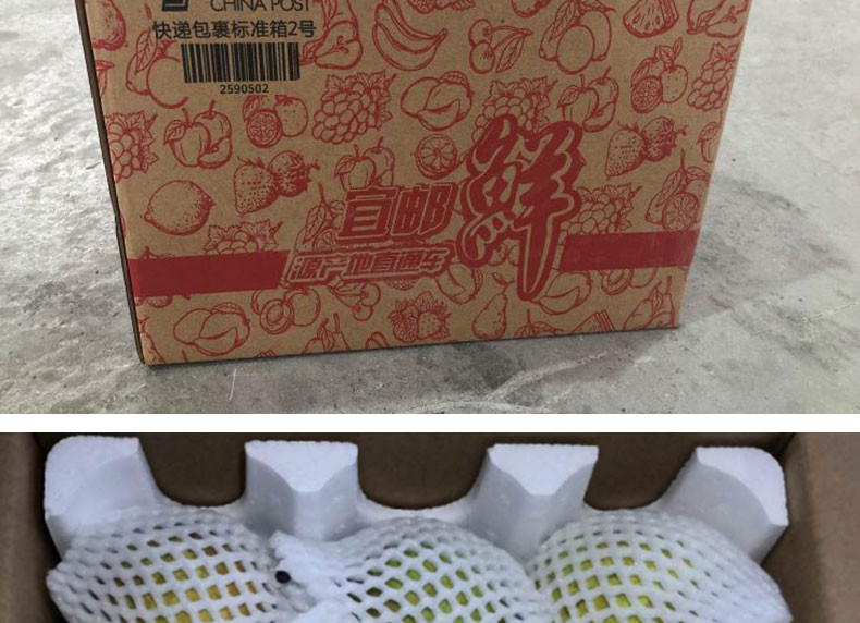 【川邮自营】宜宾长宁县黄花梨 2.5kg 鲜果甜脆