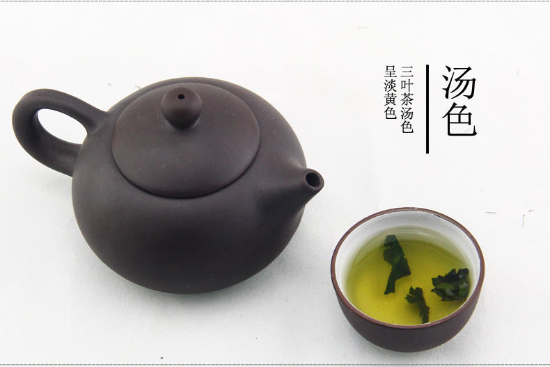 50g箬寮桑叶茶降血糖花草茶 野生霜桑叶 冬桑叶茶降三高健康饮品