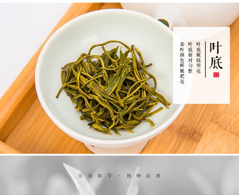 75g罐装2016新茶松阳香茶茶叶 高山春茶绿茶浓香特级炒青香茶绿茶