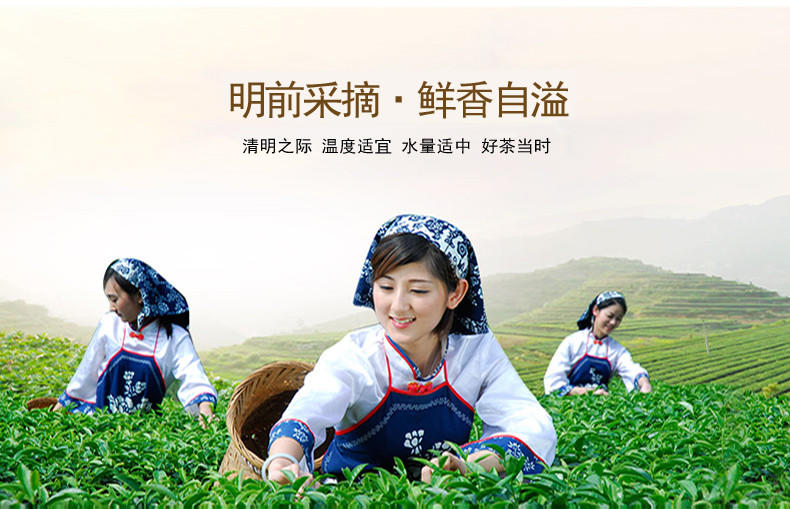 60g正宗安吉白茶茶叶2015新茶叶明前珍稀一级白茶 针形高山茶绿茶