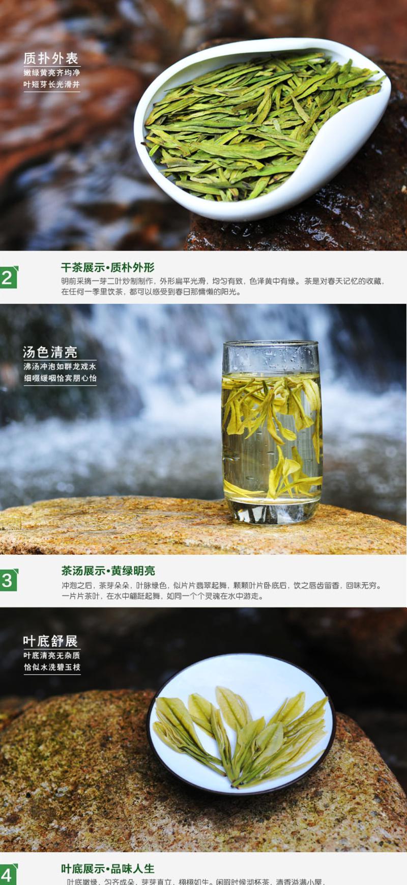 2016年春茶新茶 绿贵人龙井茶叶 绿茶 明前特级50g