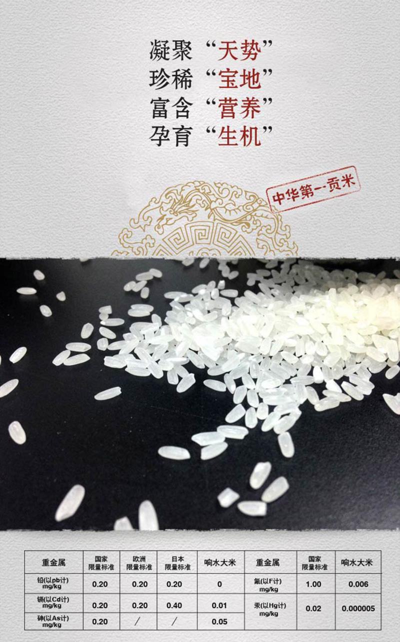 善耕原 有机石板大米家庭装 东北稻花香 有机大米 1kg/袋*10