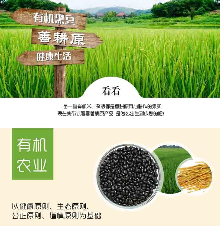 善耕原shangengyuan有机黑豆 非转基因 东北特产黑豆 500g