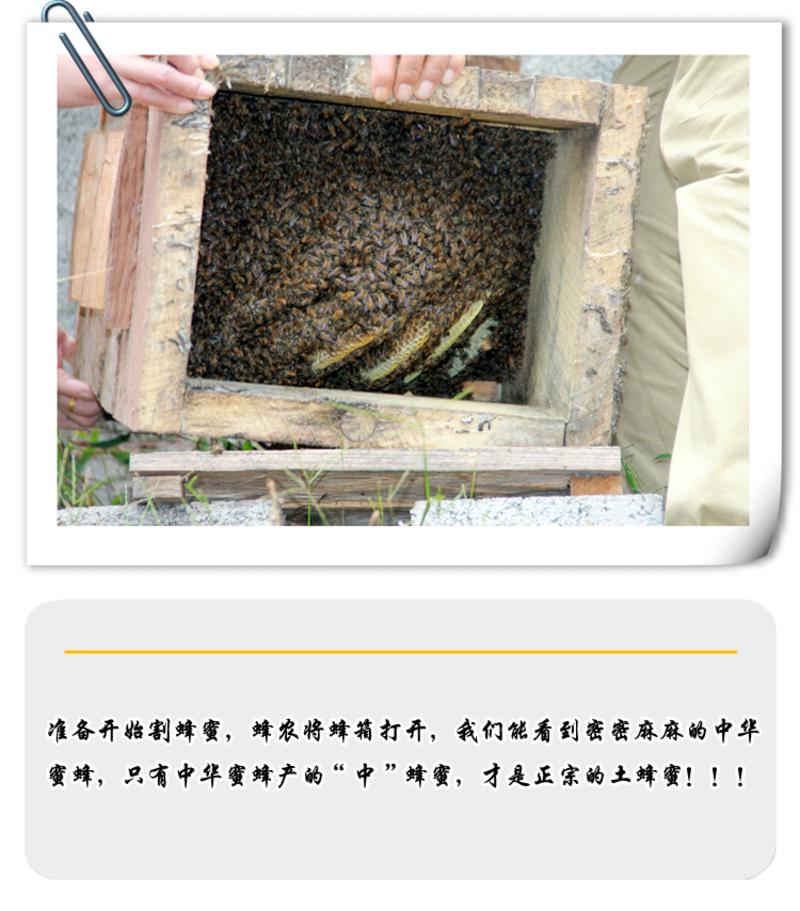 贵州特产 贵阳特产 息烽特产 息烽县供销社直供 马屯蜂蜜 900克