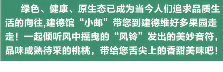 建德馆 红心猕猴桃5斤简装单果克重70g左右 江浙沪皖包邮 维好多果园生态无公害超甜