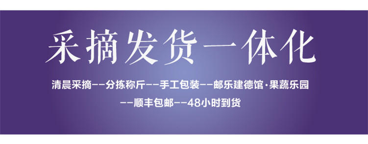 航头 建德馆 平坡谷生态有机新鲜蓝莓鲜果买3盒盒375g江浙沪顺丰包邮