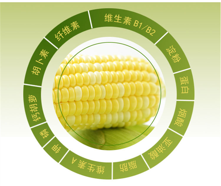玉见香甜 建德水果玉米 净重5斤/9斤 非转基因可以生吃的玉米 江浙沪皖包邮