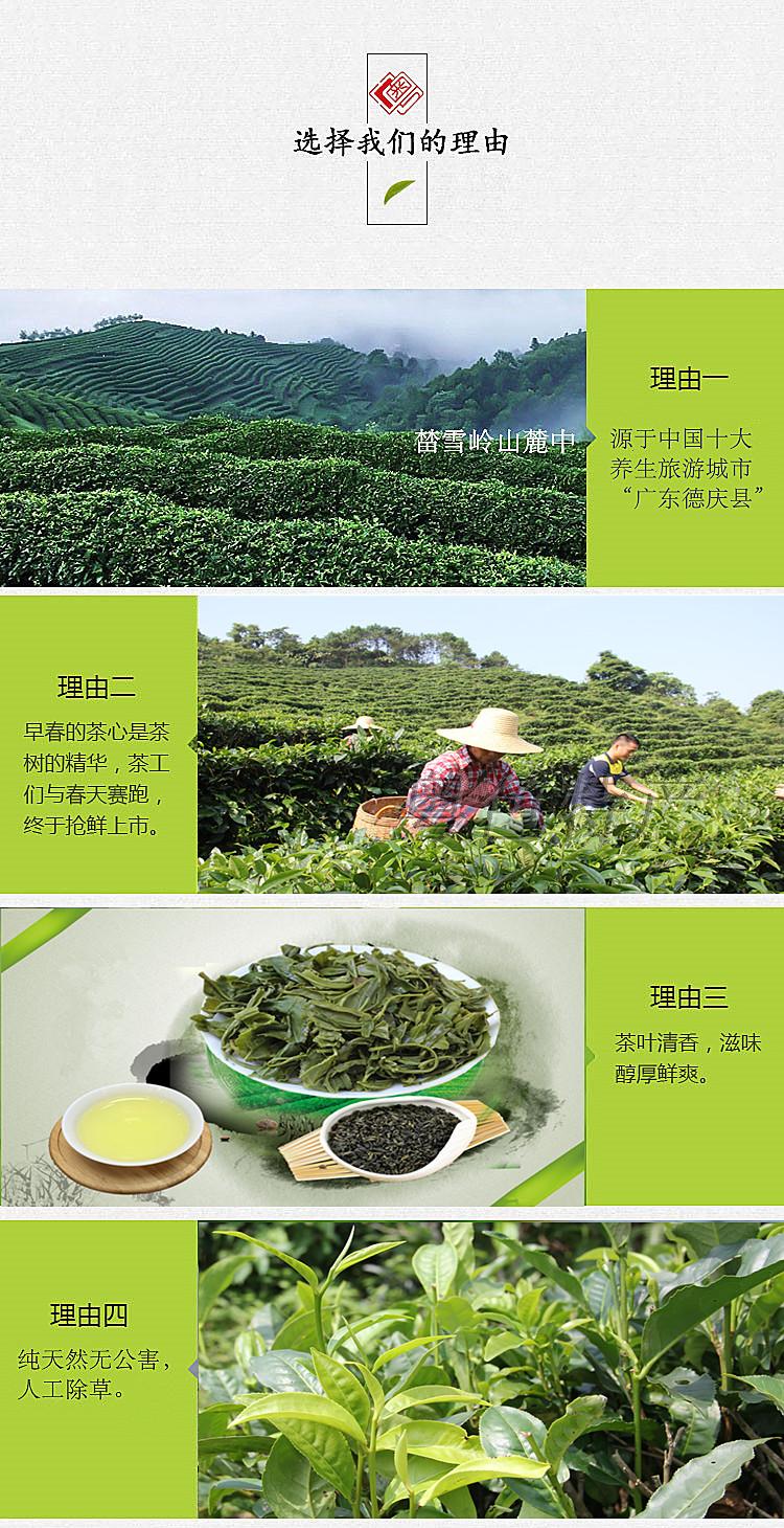 裹香皇 广东绿茶 炒青精制春茶 原生态金山绿茶 茶叶礼盒