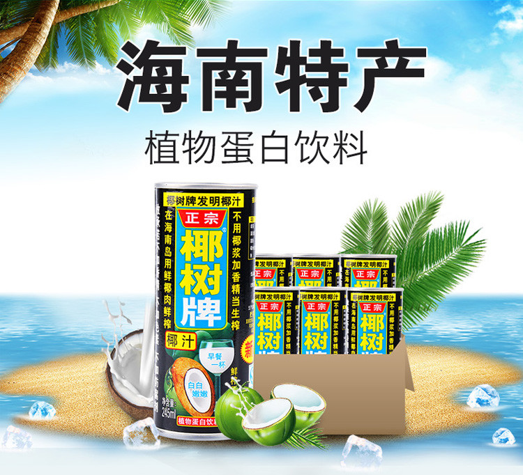 椰树牌 椰汁245ml*6罐植物蛋白新鲜健康海南特产饮料香浓果汁