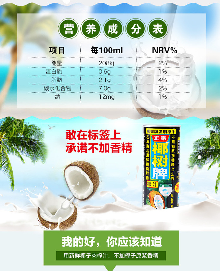椰树牌 椰汁245ml*6罐植物蛋白新鲜健康海南特产饮料香浓果汁