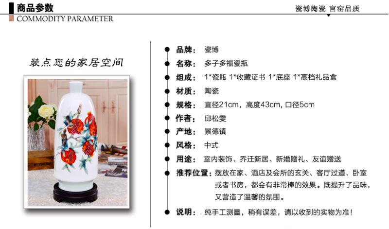 瓷拍 景德镇瓷器江西省陶瓷研究所简约客厅现代时尚花瓶多子多福