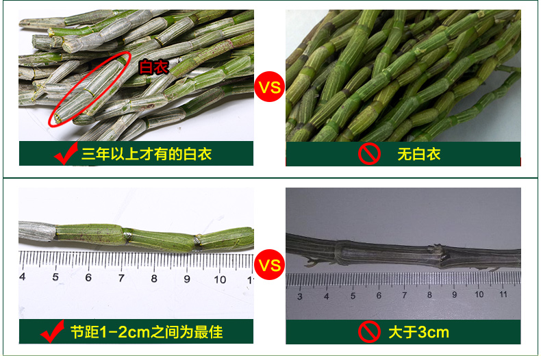 萃和堂雁荡山仿野生铁皮石斛鲜条