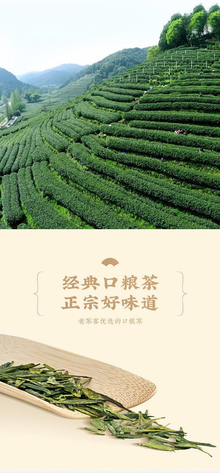 农家自产 【新茶上市】西湖明前龙井礼盒装 250克/盒