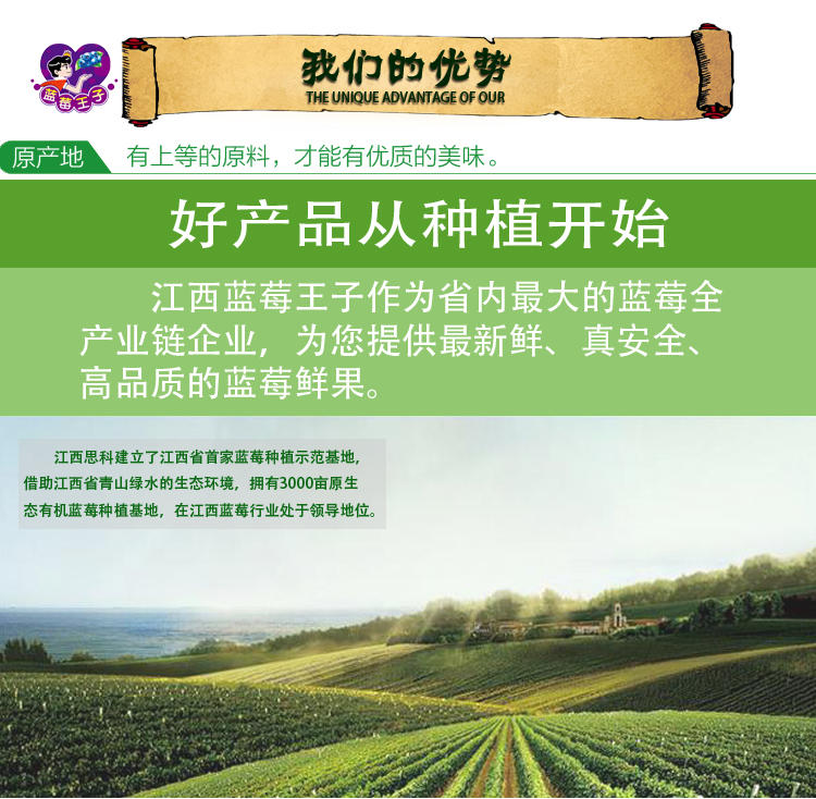 【江西特产】80%蓝莓果汁鲜榨蓝梅汁饮料果粒果肉含原花青素