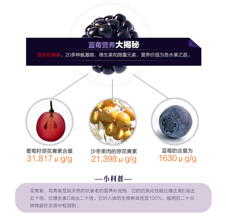 【江西特产】蓝莓果干有机蓝梅罐装悠闲办公零食美食小吃50g