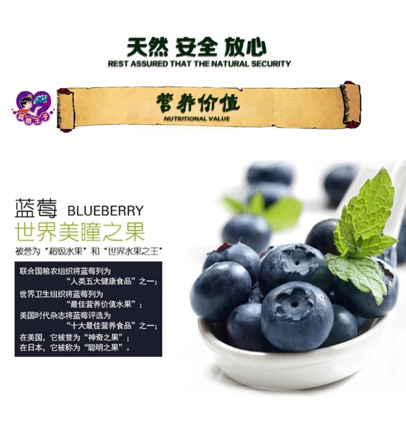 【江西特产】蓝莓果干有机蓝梅罐装悠闲办公零食美食小吃50g