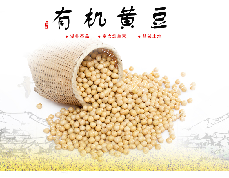 【四平馆】买三送一 郑家屯黄豆 黄豆 东北黄豆 优质黄豆 杂粮黄豆 400g