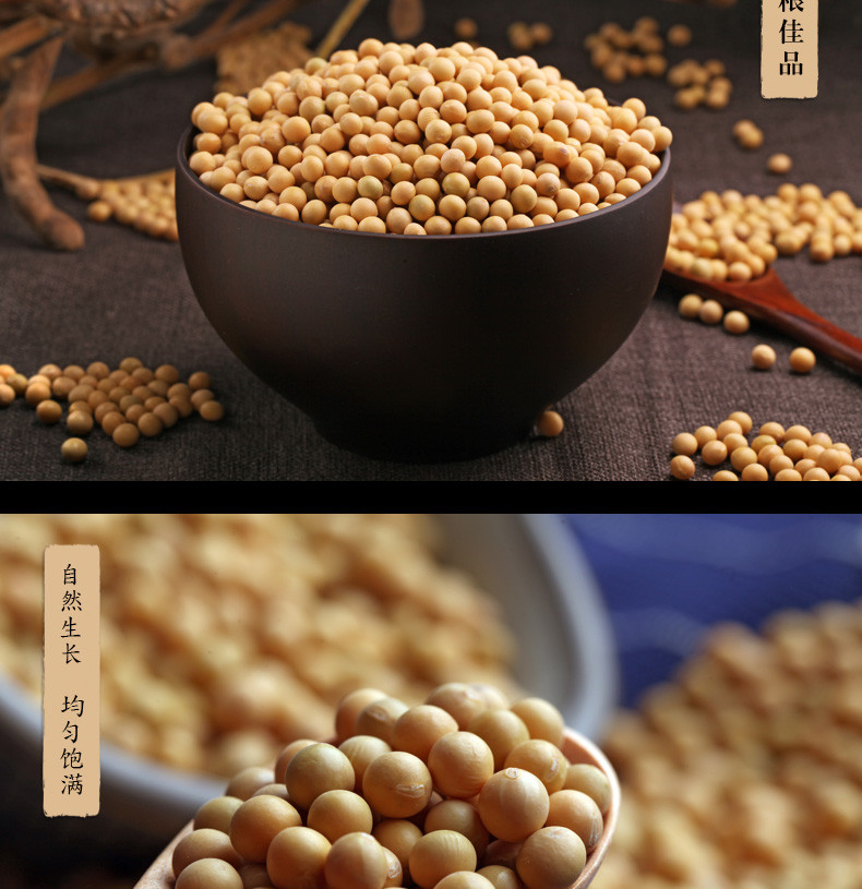 【四平馆】郑家屯有机黄豆东北农家自产能发芽黄豆五谷杂粮粗粮 瑜伽盒360g