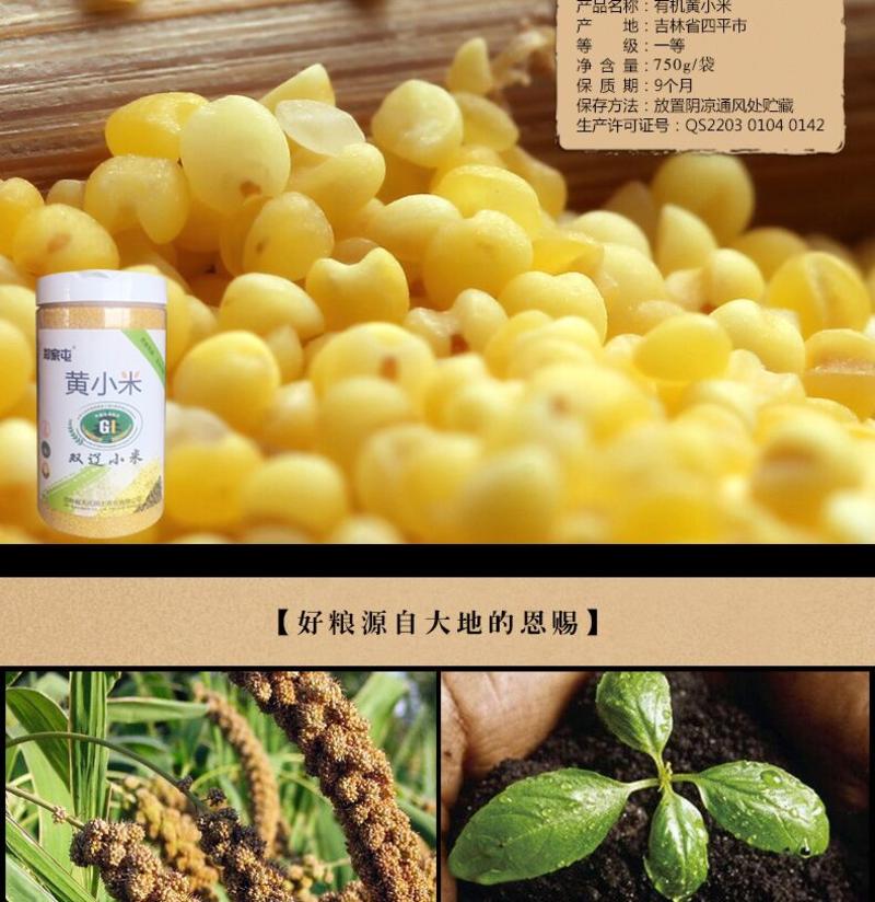  【四平馆】郑家屯黄小米750g/罐 2018年新米 五谷杂粮粗粮东北农家自产小米