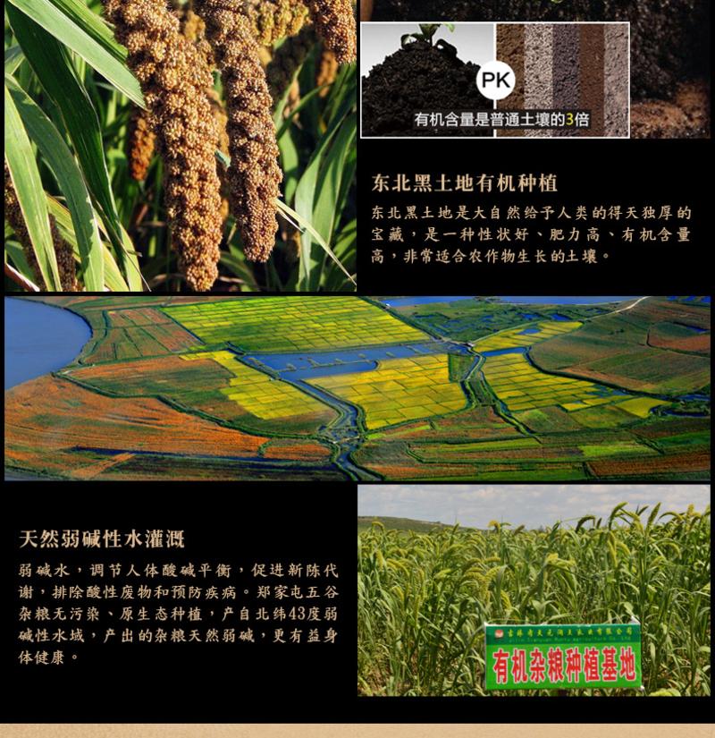  【四平馆】郑家屯黄小米750g/罐 2018年新米 五谷杂粮粗粮东北农家自产小米