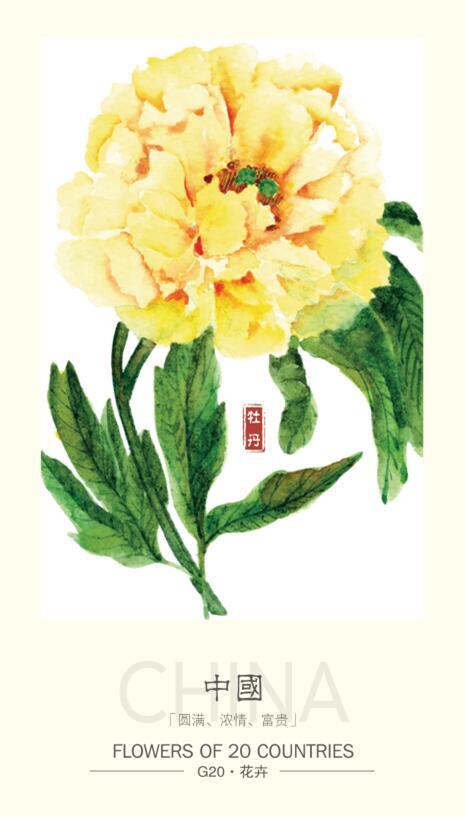 【绍兴】G20二十国花卉明信片
