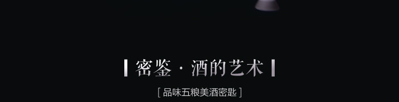 52°五粮液股份密鉴酒水（鉴赏·艺术）500mlX6瓶/箱 【全国包邮】